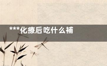 ***化療后吃什么補品(***化療后吃什么水果)