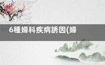 6種婦科疾病誘因(婦科四種疾病)