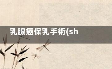 乳腺癌保乳手術(shù)需要多長時間(乳腺癌保乳手術(shù)后乳房很硬)