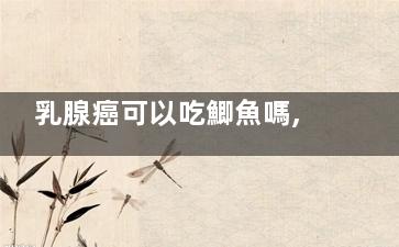 乳腺癌可以吃鯽魚嗎,鯽魚湯乳腺癌可以吃嗎