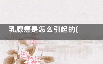 乳腺癌是怎么引起的(乳腺癌怎么引起的有什么癥狀是什么)