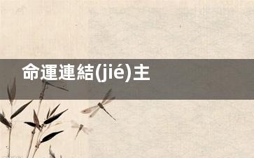 命運連結(jié)主角什么能力