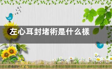 左心耳封堵術是什么樣的手術(左心耳封堵術是哪個科的手術)