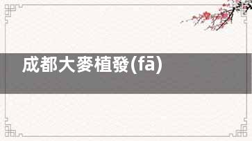 成都大麥植發(fā)價格表:FUE10元起/微針加密PPT20元起/不剃發(fā)58-60元