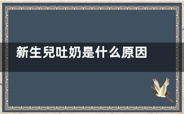 新生兒吐奶是什么原因,新生兒睡覺吐奶是什么原因