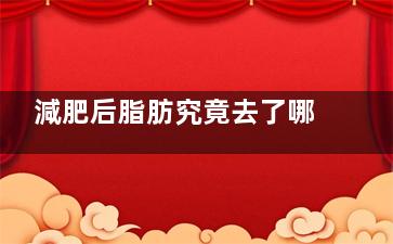 減肥后脂肪究竟去了哪里