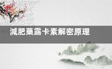 減肥藥露卡素解密原理與方法