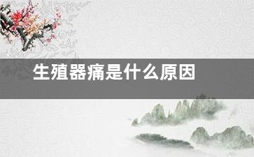 生殖器痛是什么原因