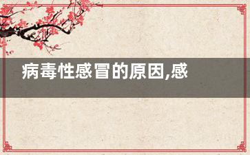 病毒性感冒的原因,感染性發(fā)熱是什么原因引起的