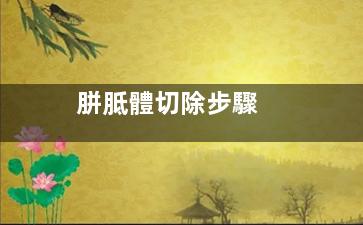 胼胝體切除步驟