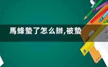 馬蜂蟄了怎么辦,被蟄了怎么消腫止癢的***快方法
