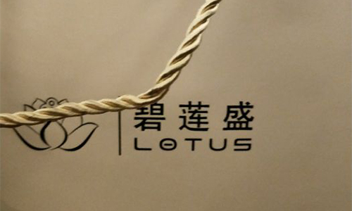 北京碧蓮盛植發(fā)醫(yī)院資料的包裝袋