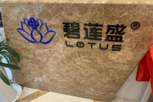 寧波碧蓮盛植發(fā)