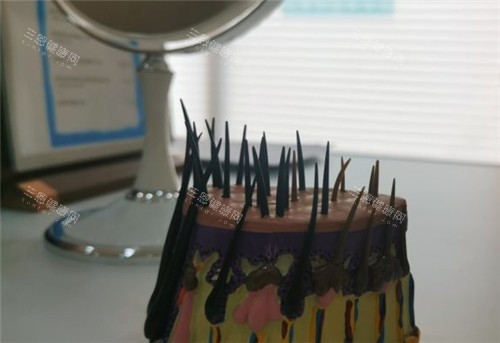 毛發(fā)模擬生長圖