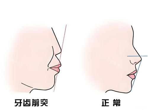 screenshot_2025-02-19_09-41-38