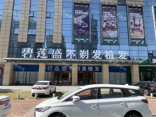 佛山碧蓮盛植發(fā)外觀大樓