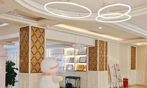 武漢真愛(ài)醫(yī)院大廳的環(huán)境圖