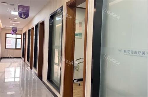 岳陽(yáng)桃花仙整形過(guò)道