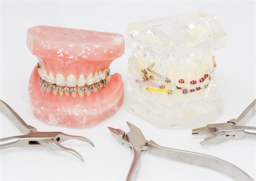 牙齒模型圖片展示圖